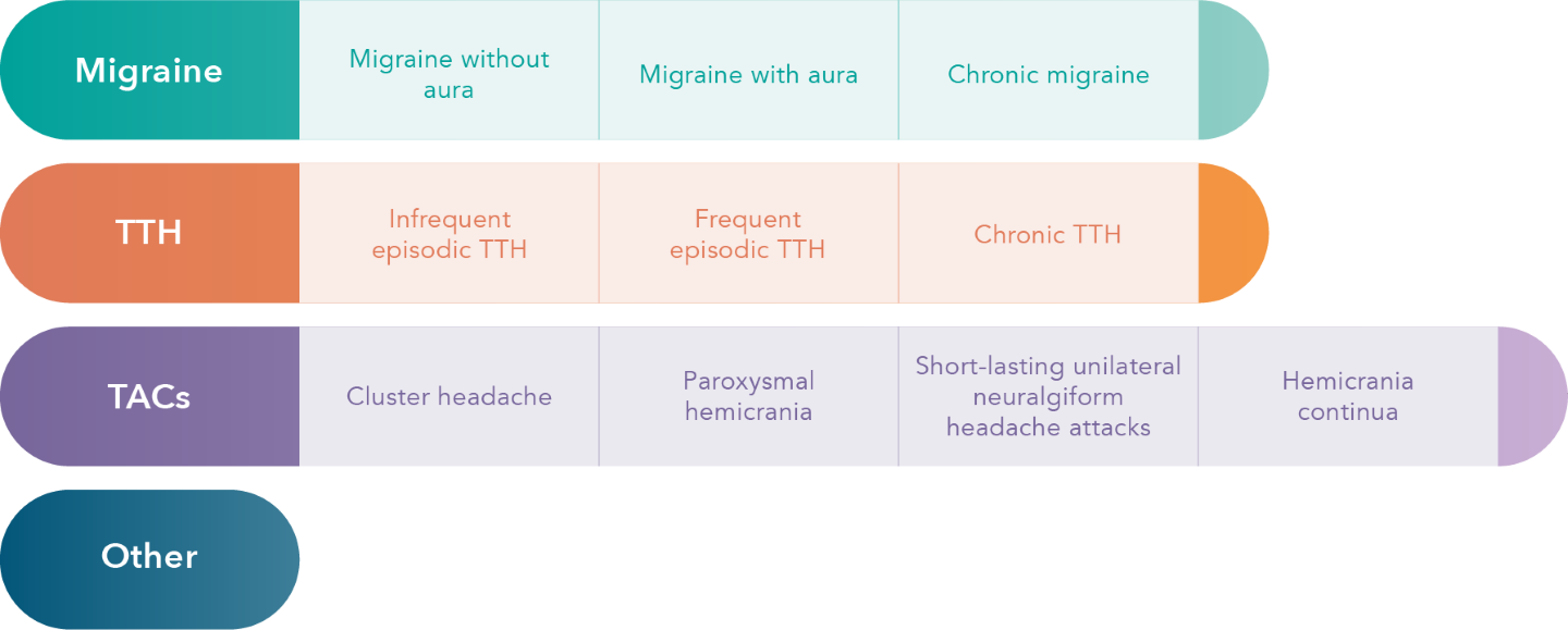 Infographic that represents 4 different types of primary headaches and their corresponding subtypes. 
