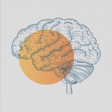 Illustration of three brains surmounted by three orange dots.