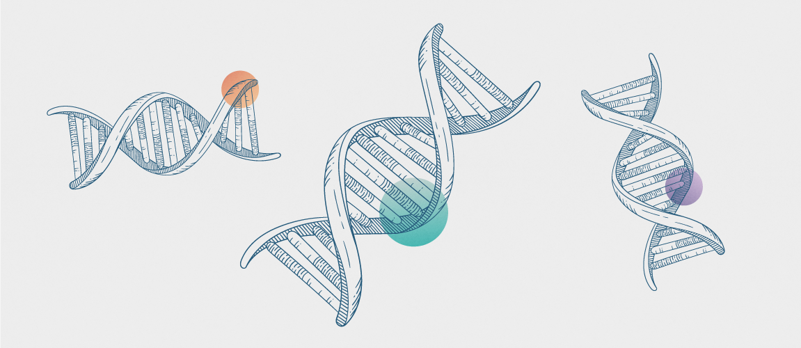 A monochromatic illustration of DNA double helices with colorful spots.