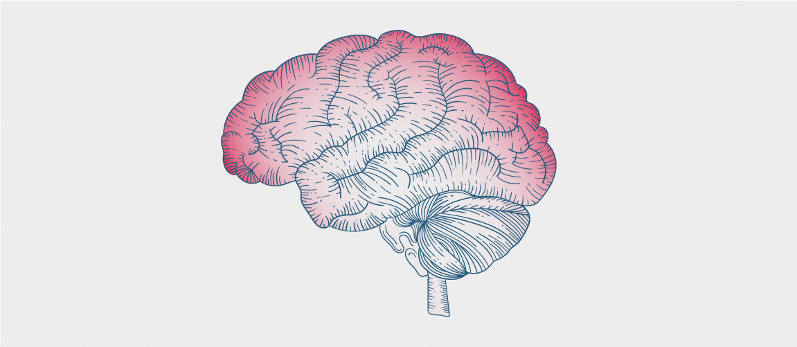 A monochromatic illustration of a human brain with red gradient shading.