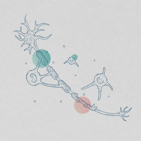 Illustration of neuron against backdrop of colored circles.