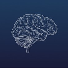 A brain made from white lines on a blue background.
